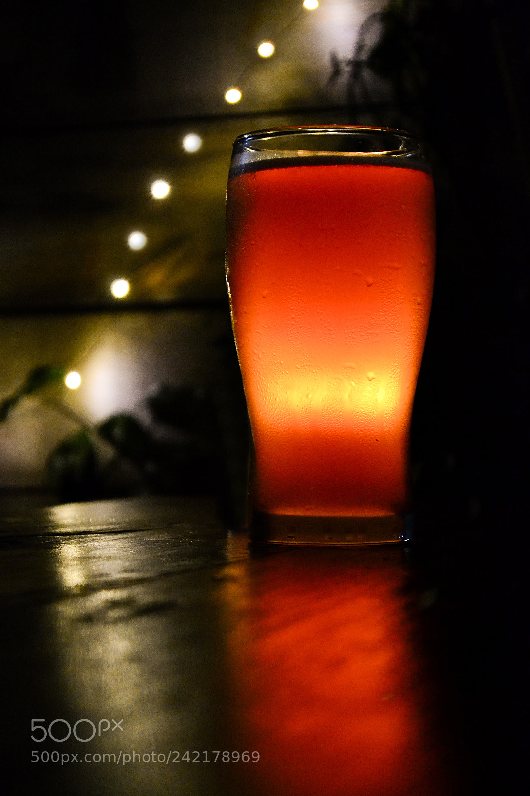 Nikon D3100 sample photo. B e e r photography