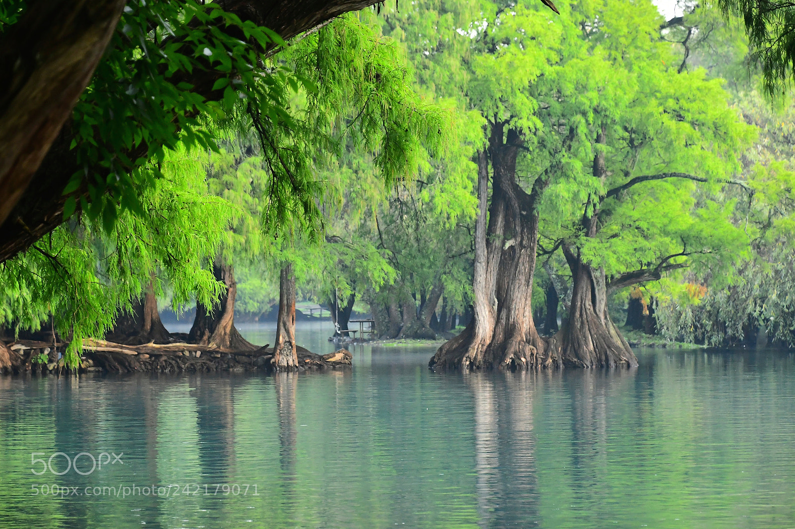Nikon D500 sample photo. Quietud. photography
