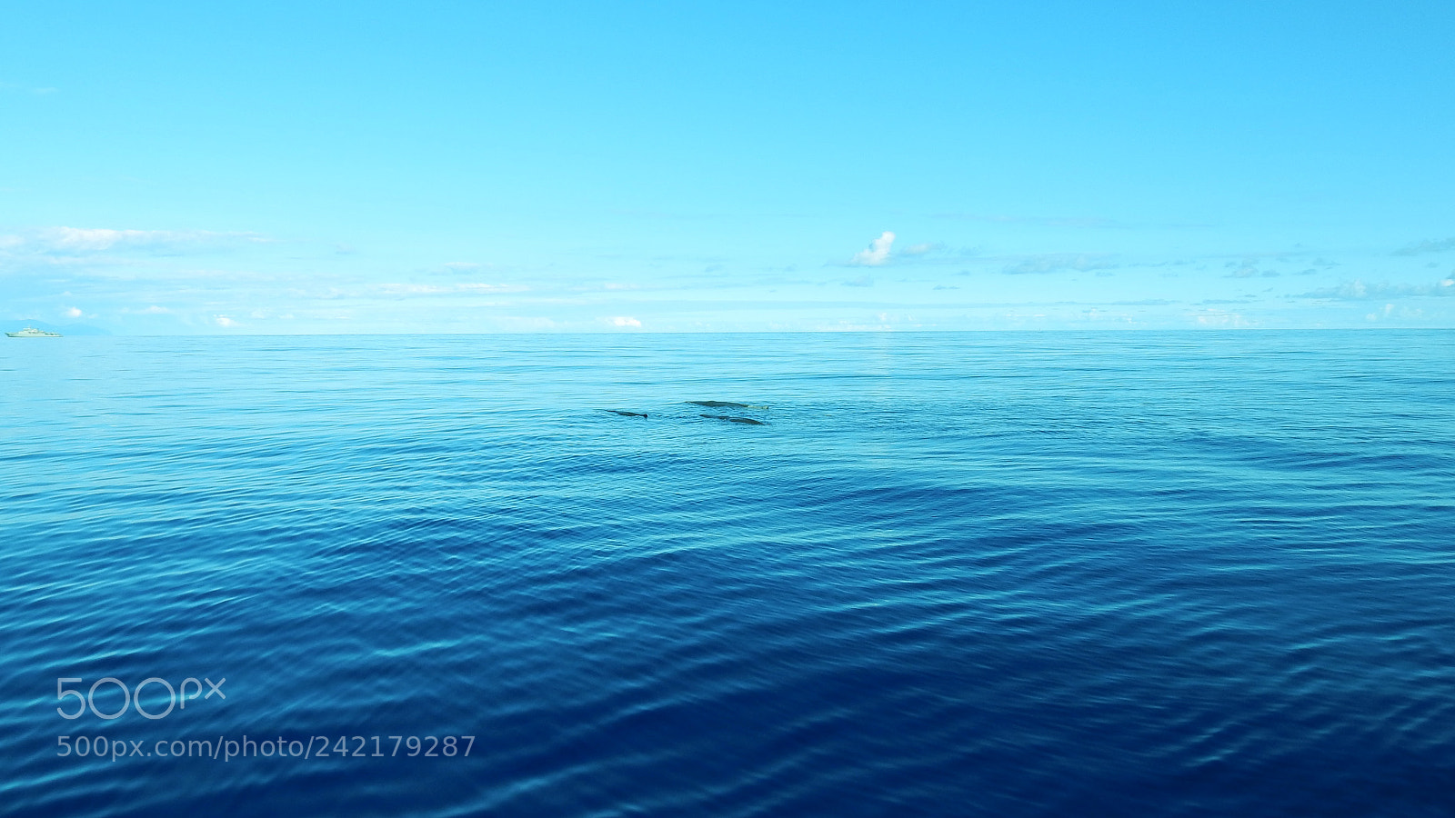 Nikon Coolpix P900 sample photo. Torpedos:) photography