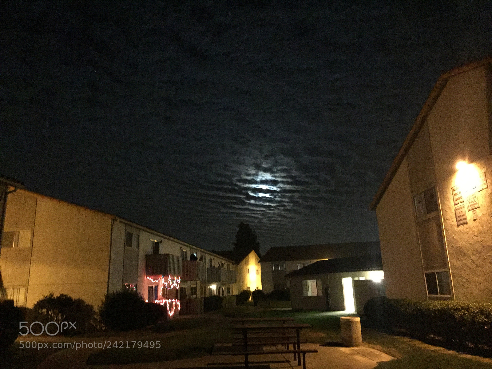 Apple iPhone 6 Plus sample photo. Moon behind the clouds photography