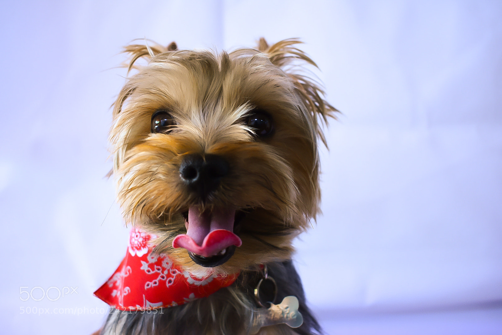 Nikon D3400 sample photo. My baby photography