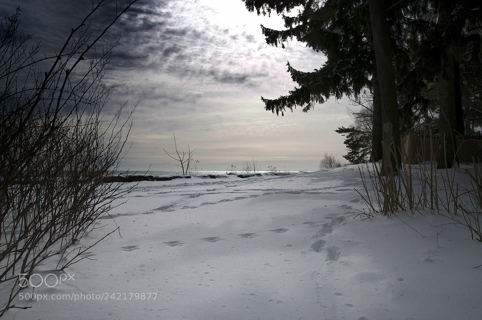 Nikon D90 sample photo. Dawn photography