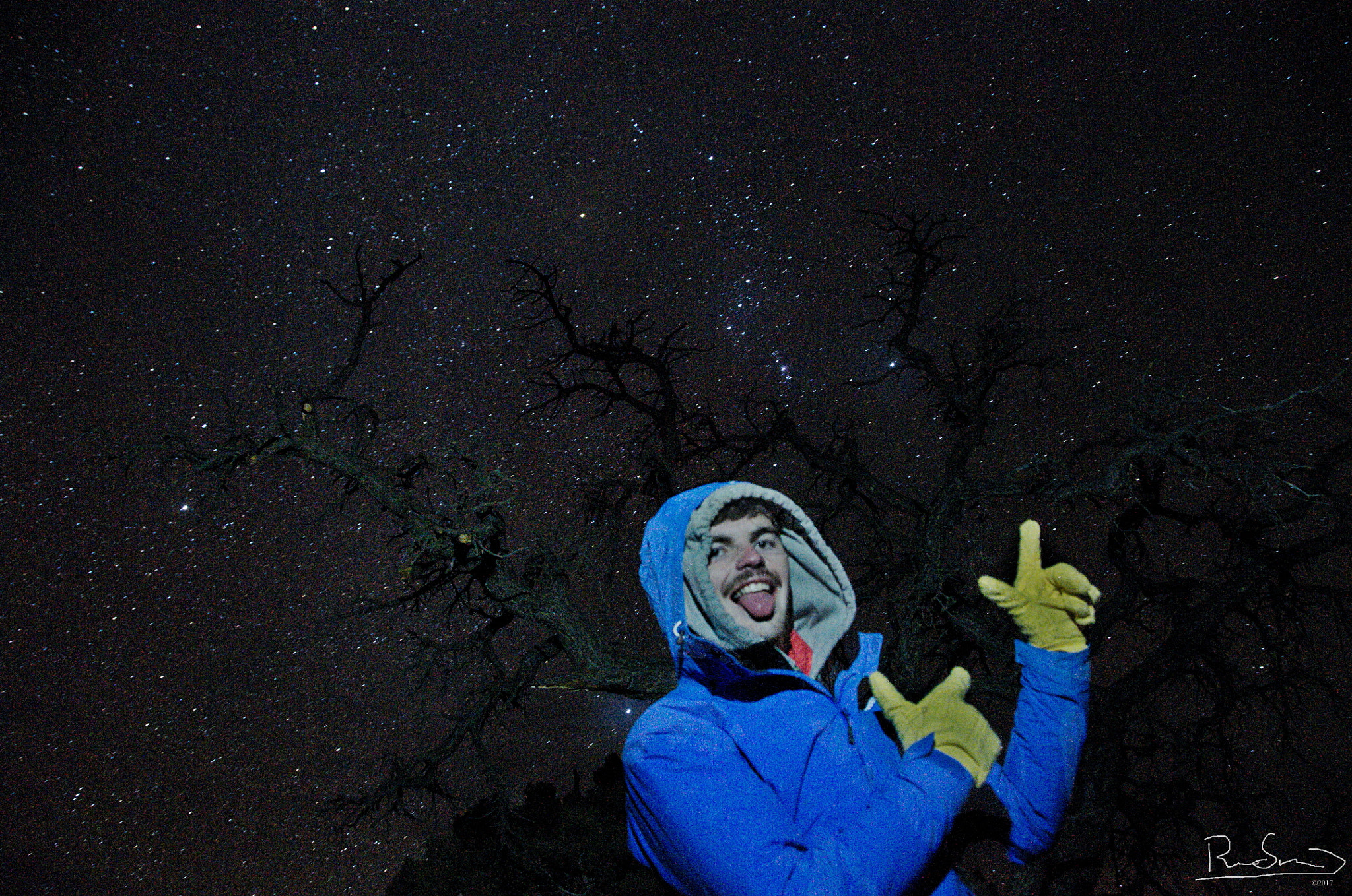 Nikon D300S sample photo. Stars and a star at capitol reef photography