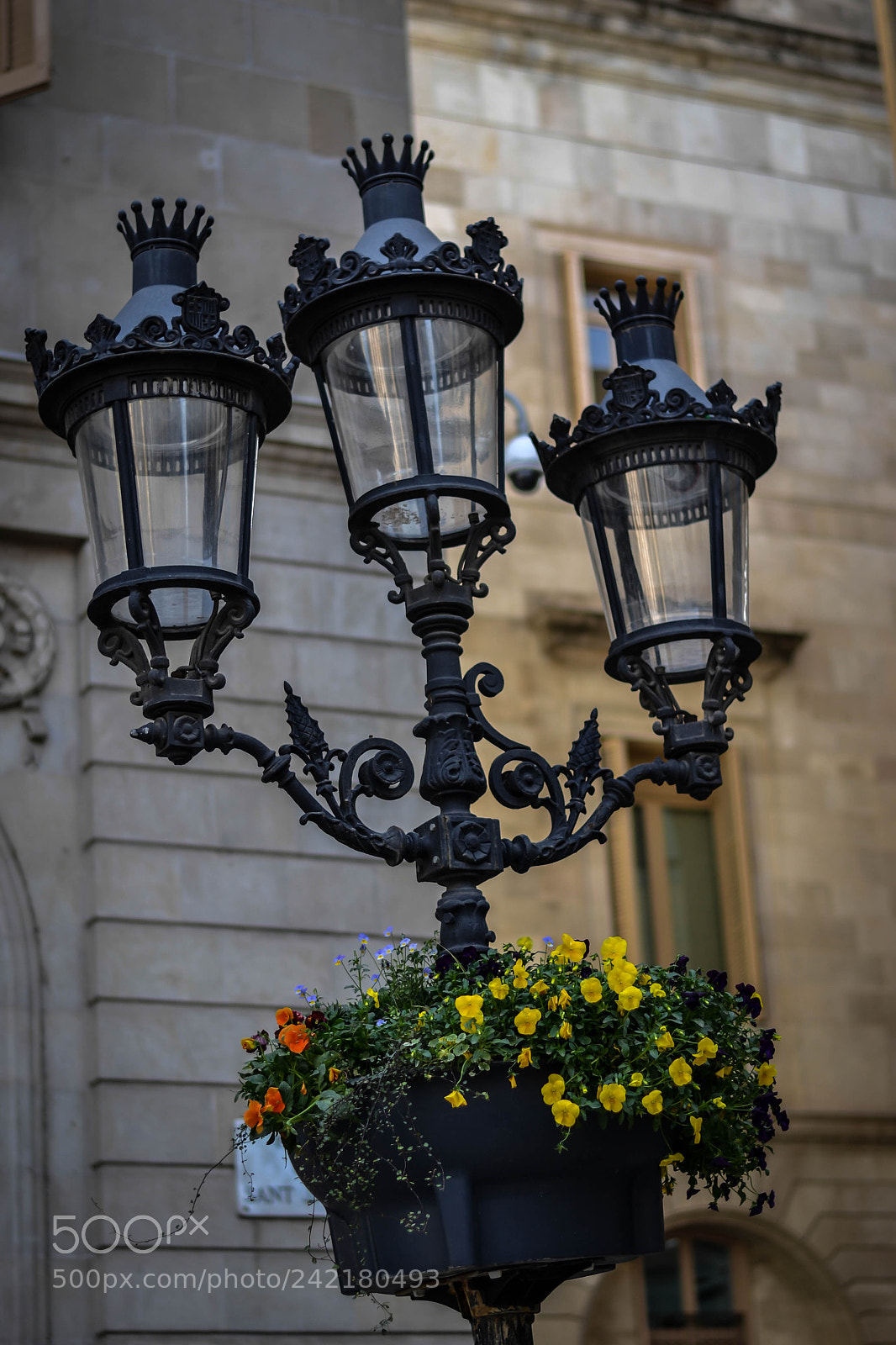 Nikon D3100 sample photo. Street lamp photography