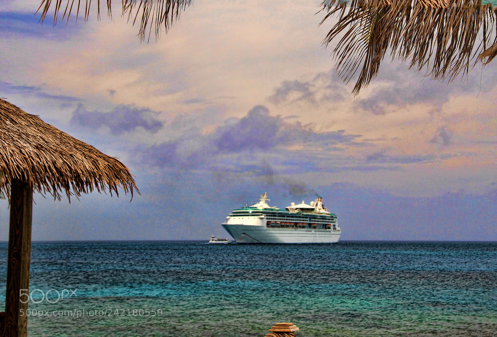 Canon EOS 600D (Rebel EOS T3i / EOS Kiss X5) sample photo. Coco cay bahamas royal photography