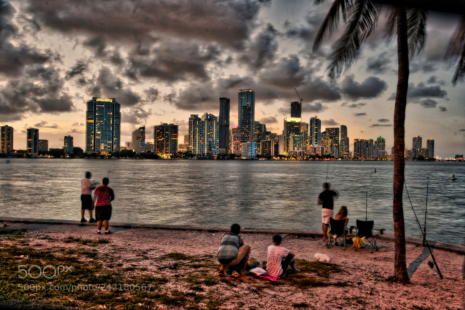 Nikon D800 sample photo. Miami photography