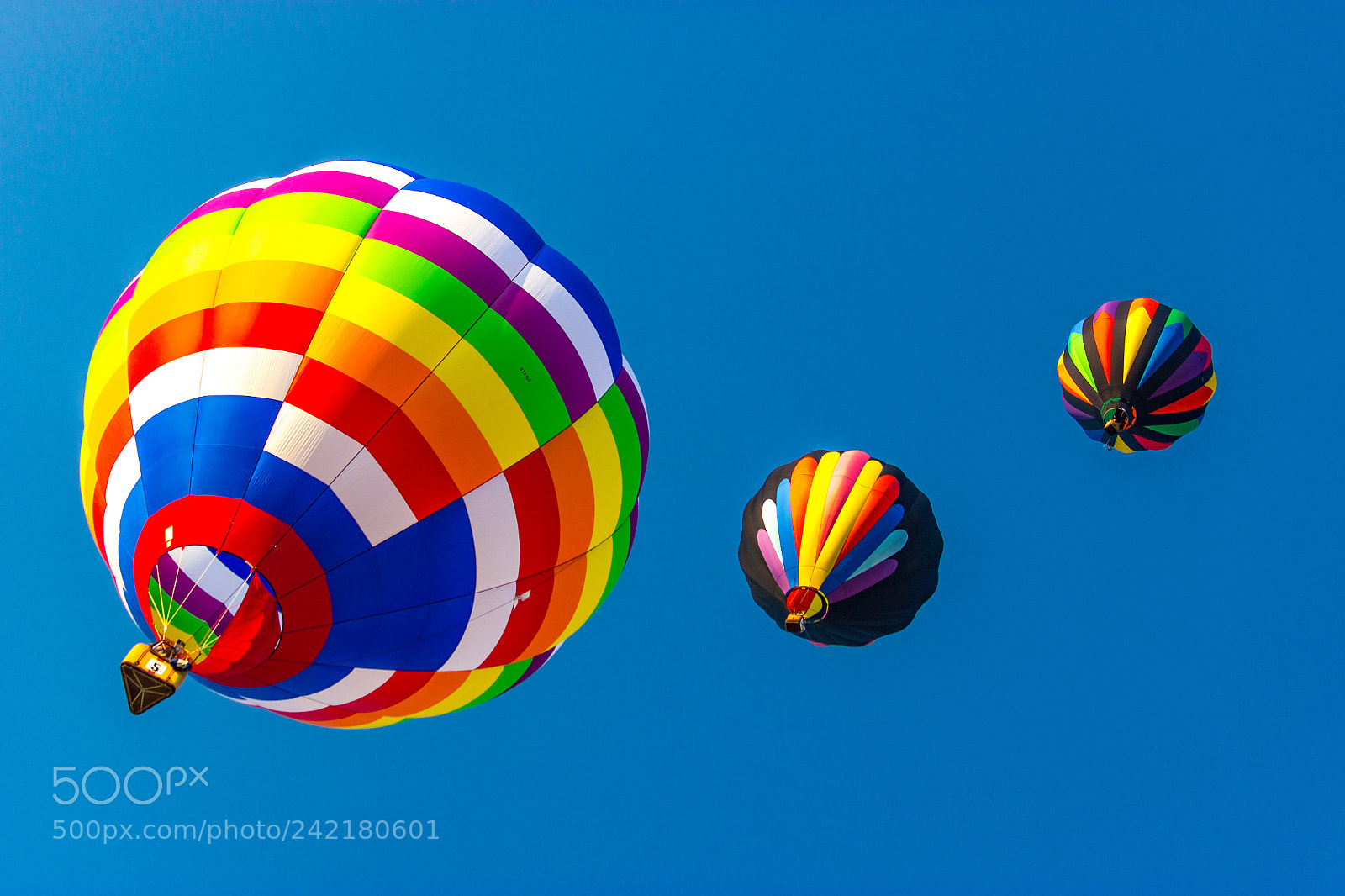Canon EOS 600D (Rebel EOS T3i / EOS Kiss X5) sample photo. Balloon photography
