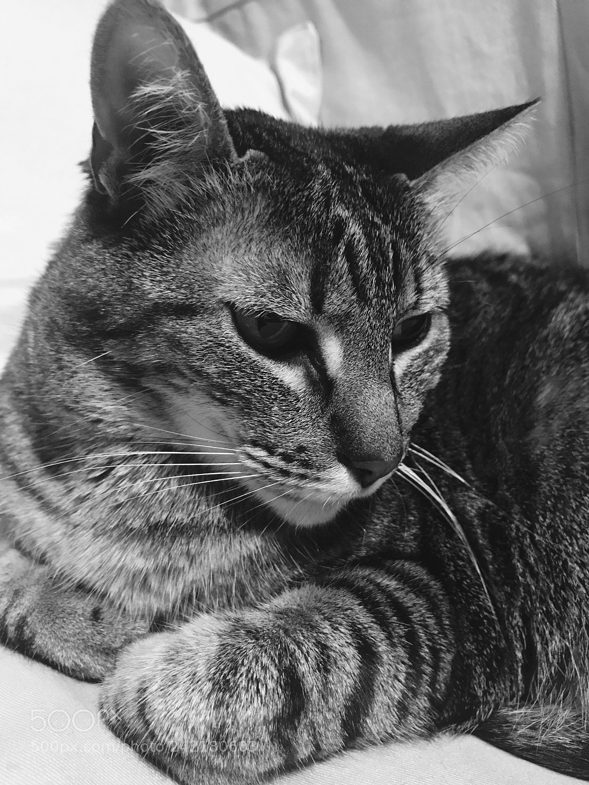 Apple iPhone 7 sample photo. Untitled photography