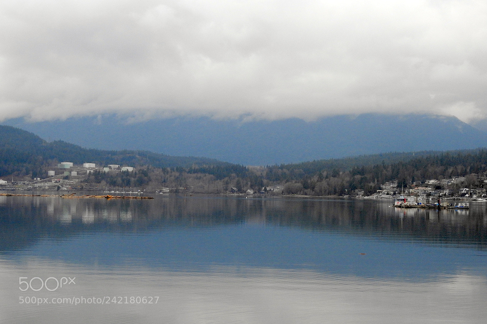 Nikon Coolpix P900 sample photo. Port moody photography