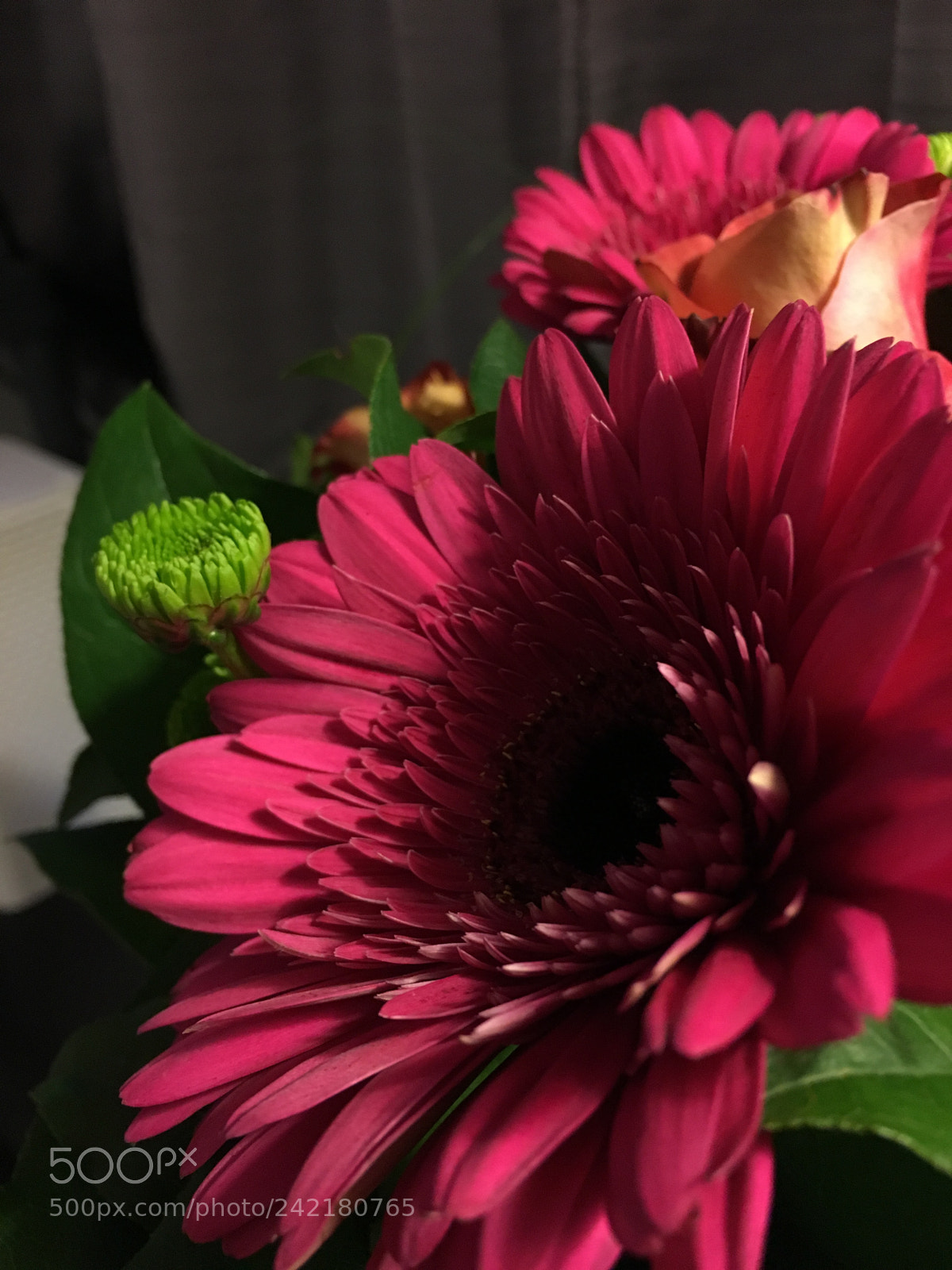 Apple iPhone 6s sample photo. Birthday gerberas ii photography