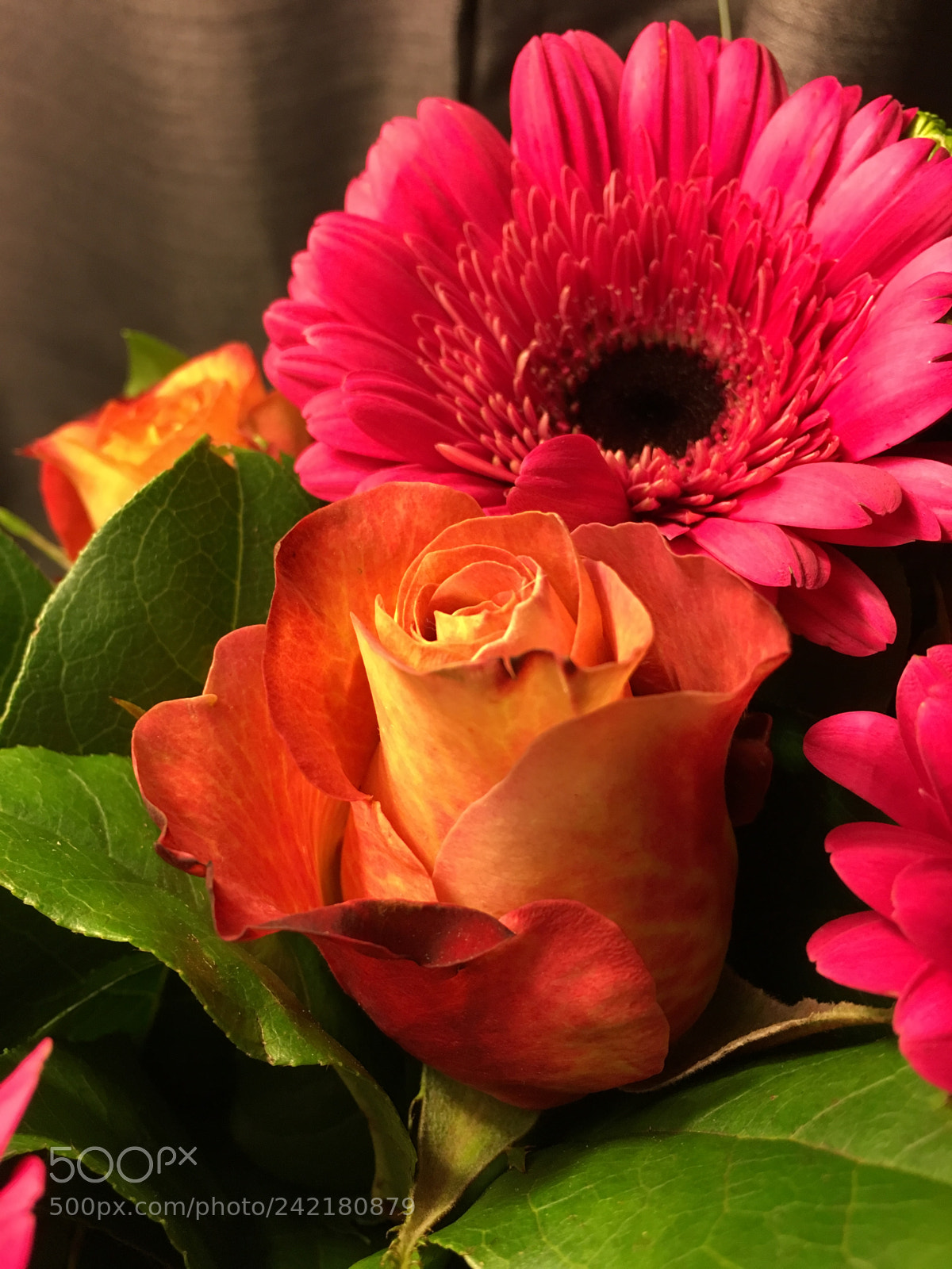 Apple iPhone 6s sample photo. Birthday gerberas iii photography