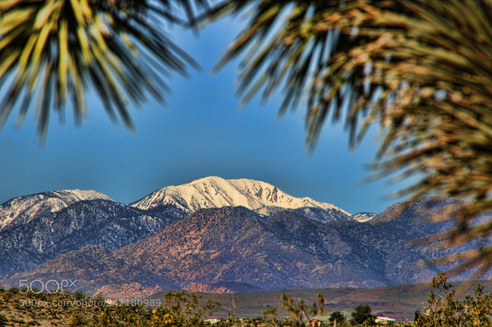 Canon EOS 760D (EOS Rebel T6s / EOS 8000D) sample photo. Palm springs ca photography