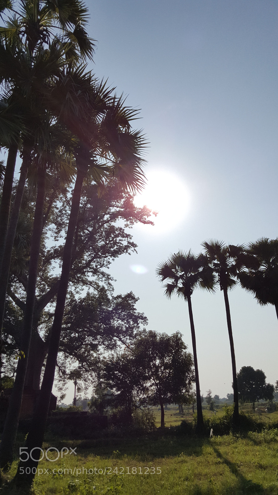 Samsung Galaxy Note5 sample photo. Black photography