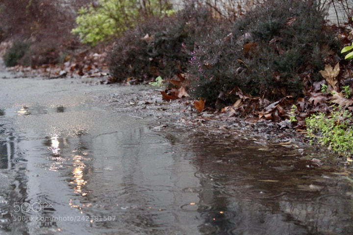 Canon EOS 700D (EOS Rebel T5i / EOS Kiss X7i) sample photo. Rainy vancouver days photography