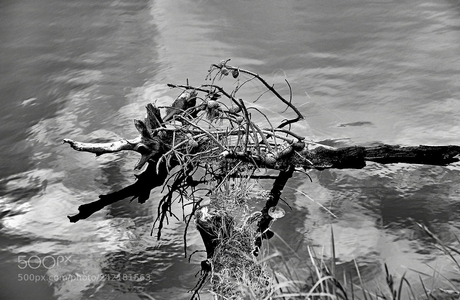 Nikon D200 sample photo. Lake irene 12-4 photography