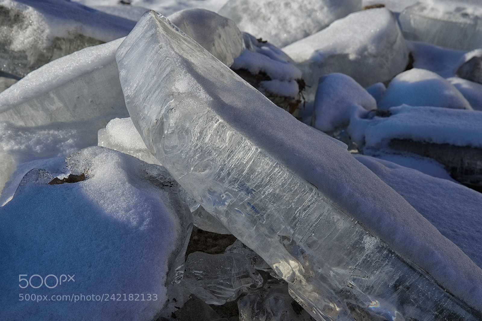 Nikon D500 sample photo. Icemorning photography