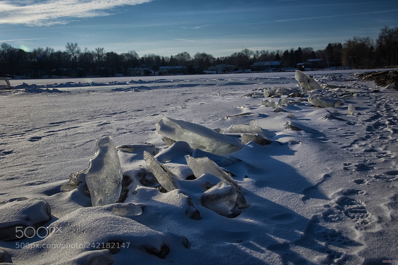 Nikon D500 sample photo. Icemorning b photography