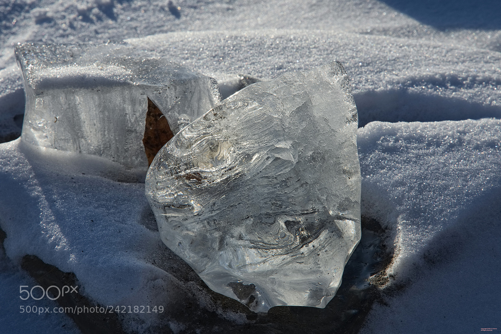 Nikon D500 sample photo. Icemorning photography