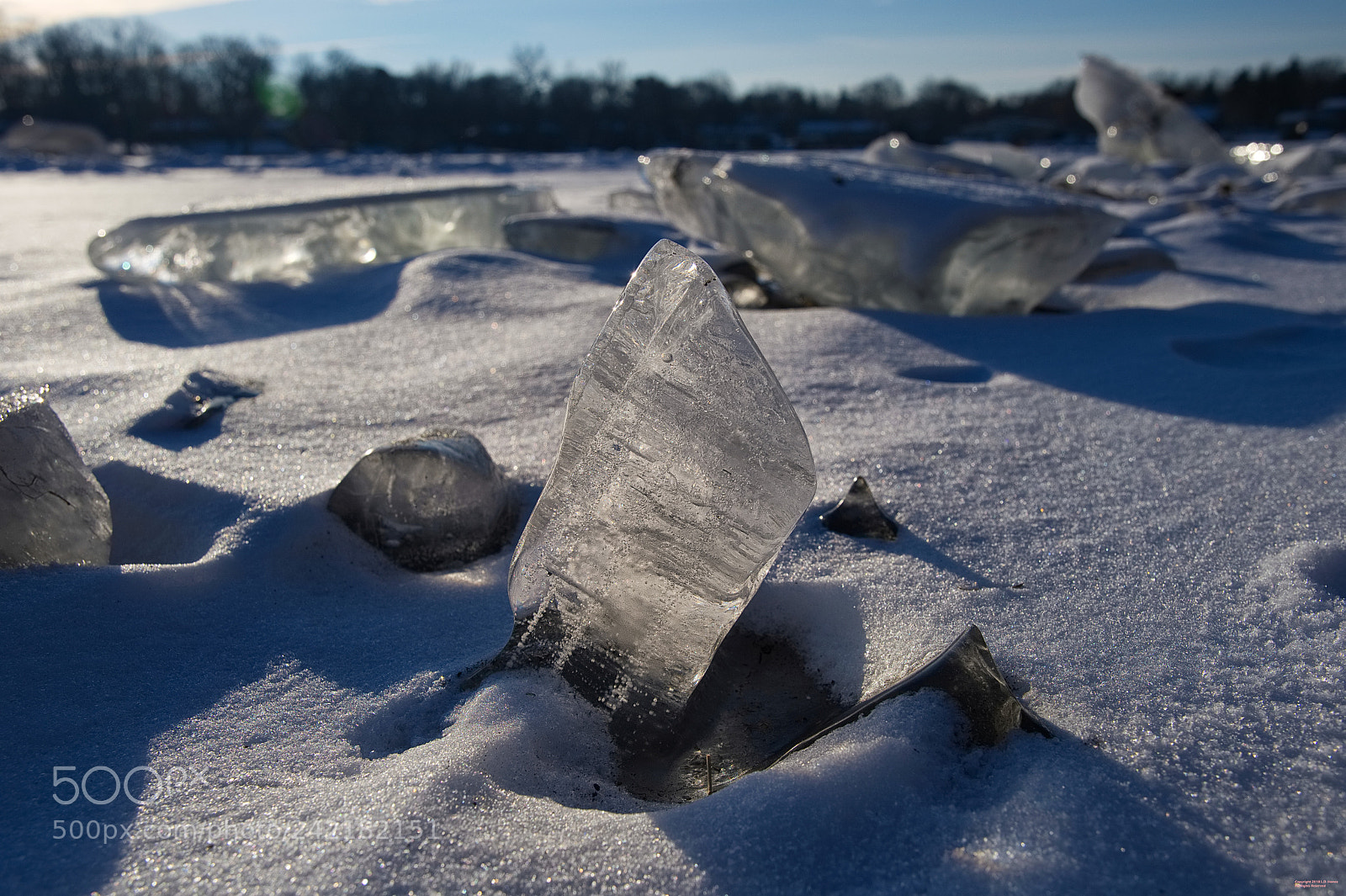 Nikon D500 sample photo. Icemorning photography