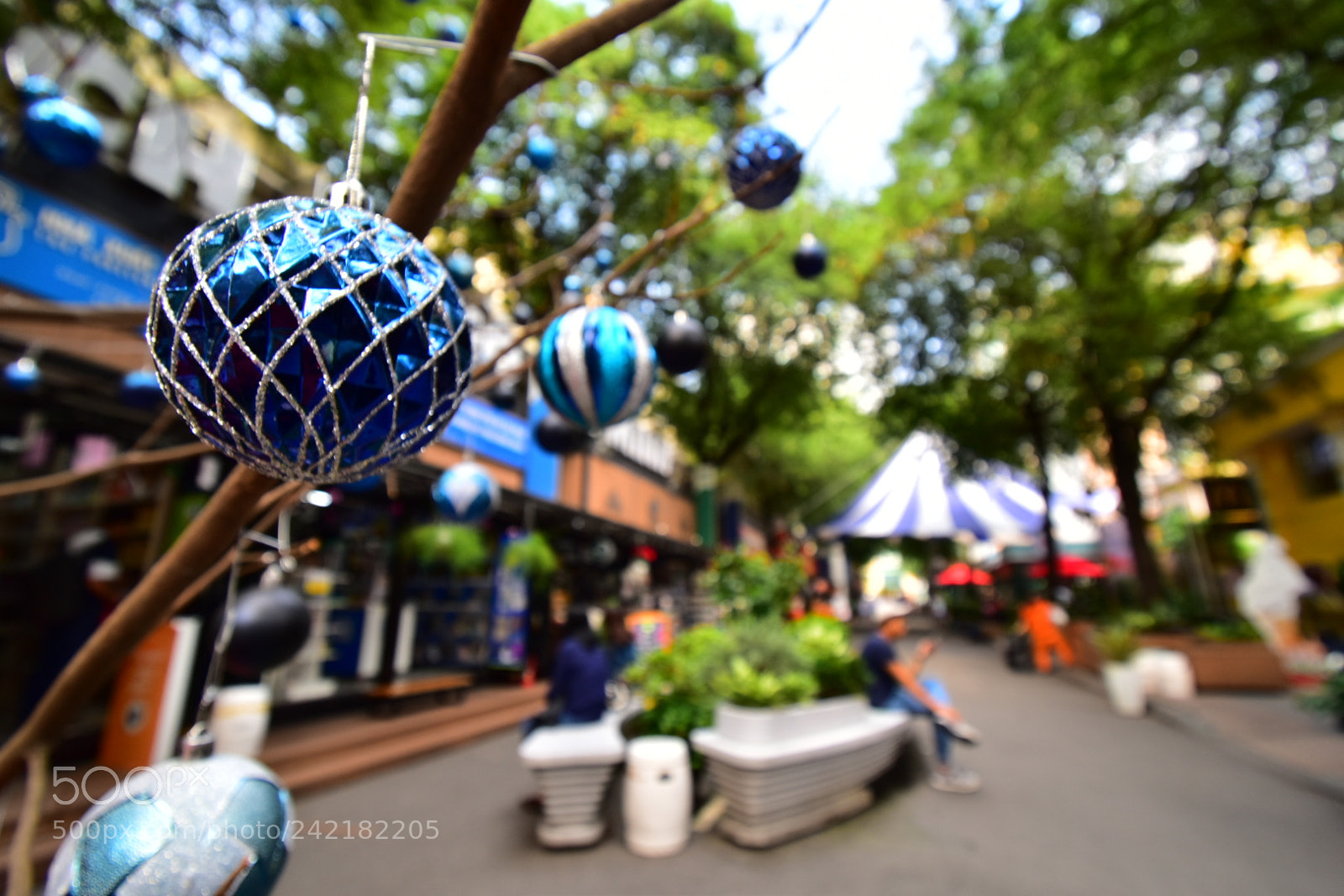 Nikon D5600 sample photo. Christmas ball photography