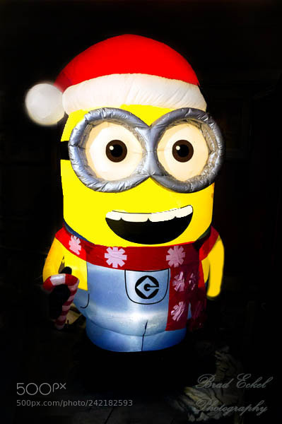Sony Alpha NEX-F3 sample photo. Dave... the minion photography