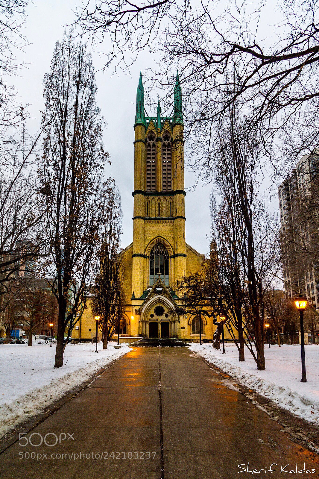 Canon EOS 750D (EOS Rebel T6i / EOS Kiss X8i) sample photo. Toronto photography