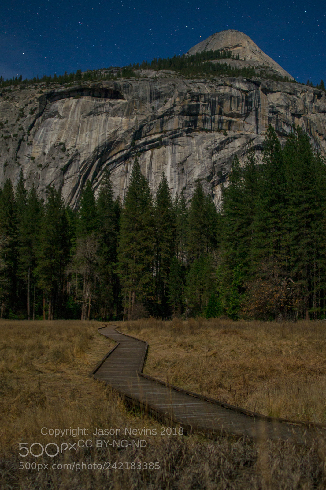 Nikon D3100 sample photo. Yosemite photography
