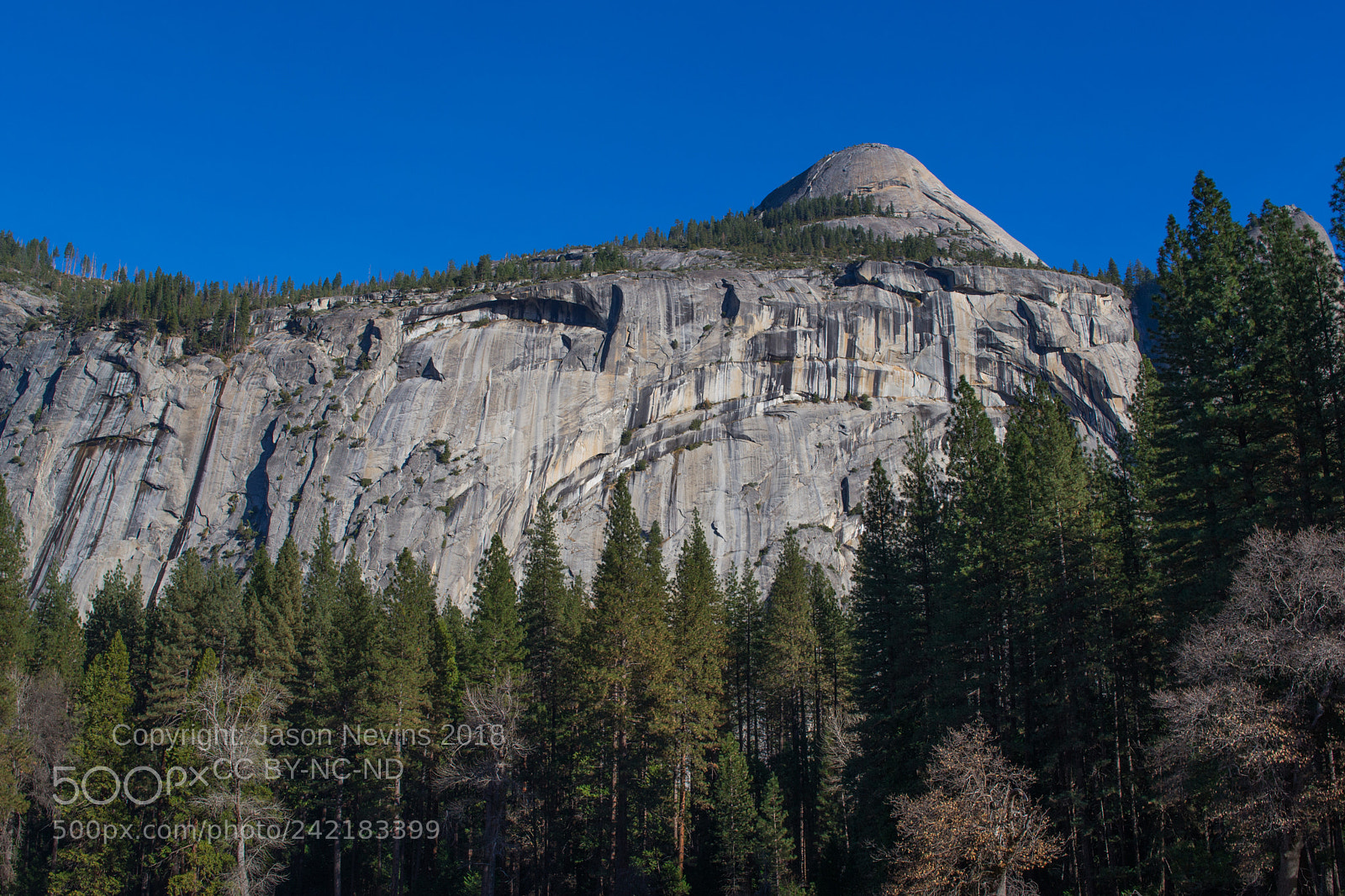 Nikon D3100 sample photo. Yosemite photography