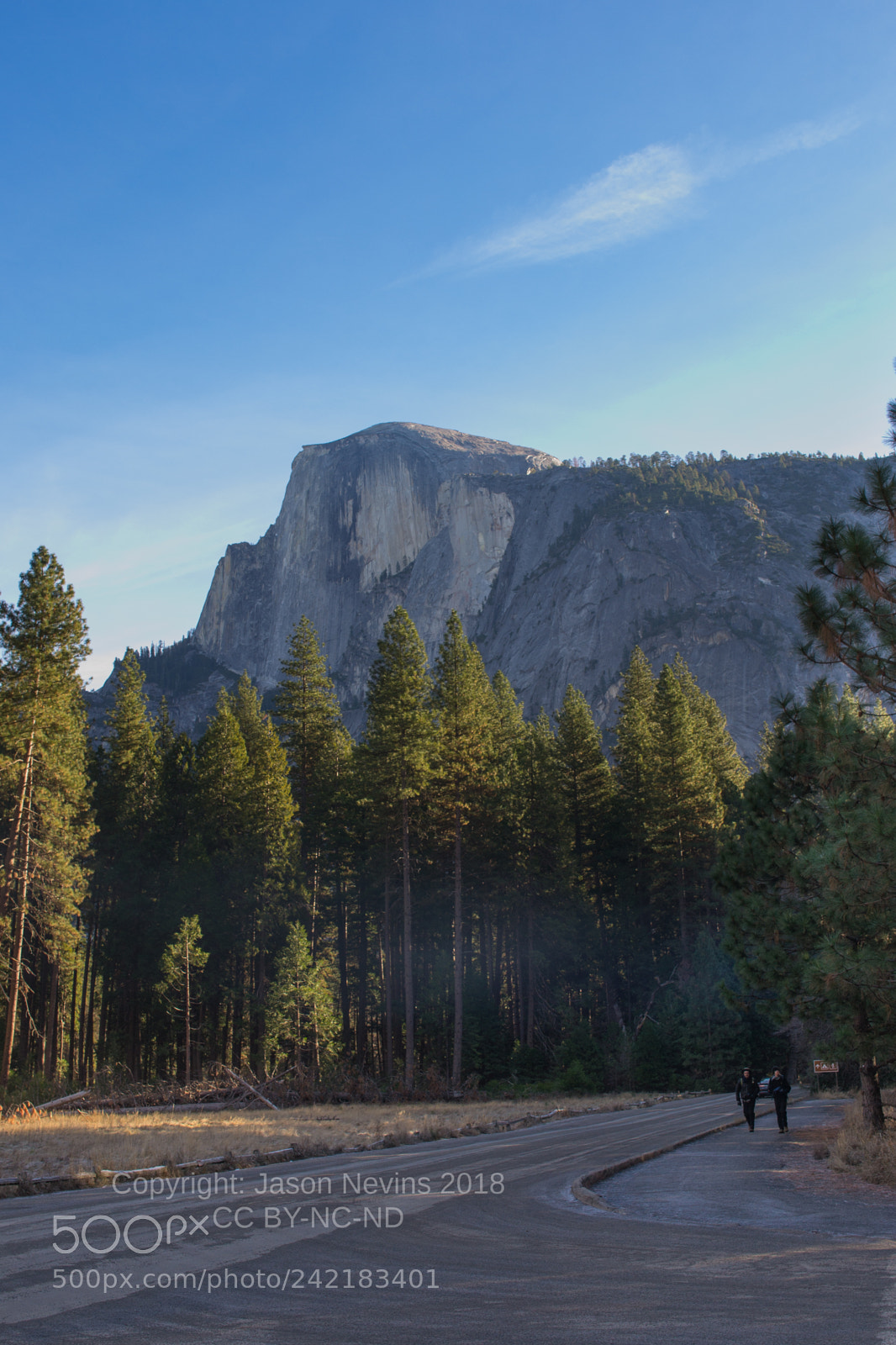 Nikon D3100 sample photo. Yosemite photography