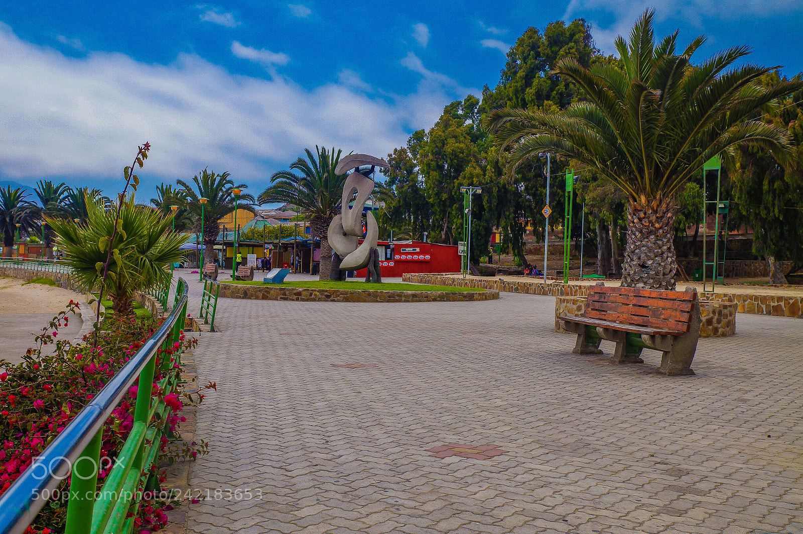 Sony SLT-A37 sample photo. Huasco puerto atacama chile photography