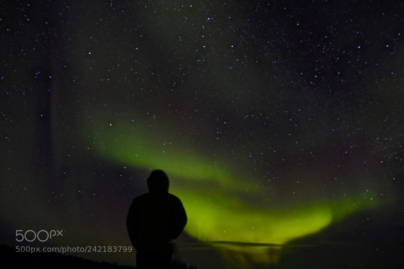 Fujifilm X-T2 sample photo. Yellowknife photography