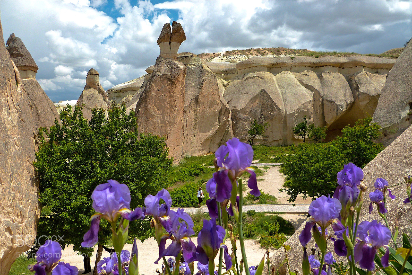 Panasonic Lumix DMC-FZ47 (Lumix DMC-FZ48) sample photo. Irises and fairy chimneys photography