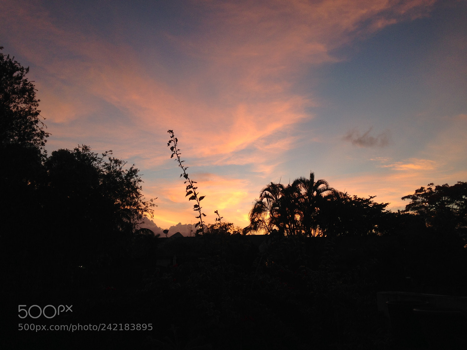 Apple iPhone 5c sample photo. Sunset 001 photography