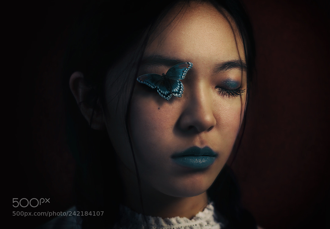 Canon EOS 60D sample photo. Butterfly, tiffany and asian photography
