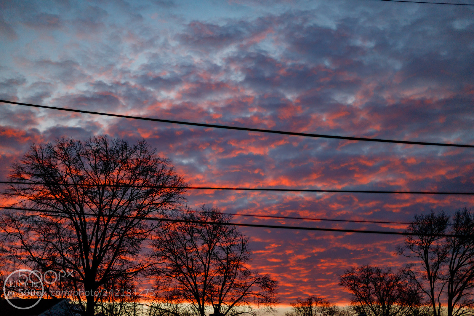 Canon EOS 6D Mark II sample photo. Sunrise 1/8/18 photography