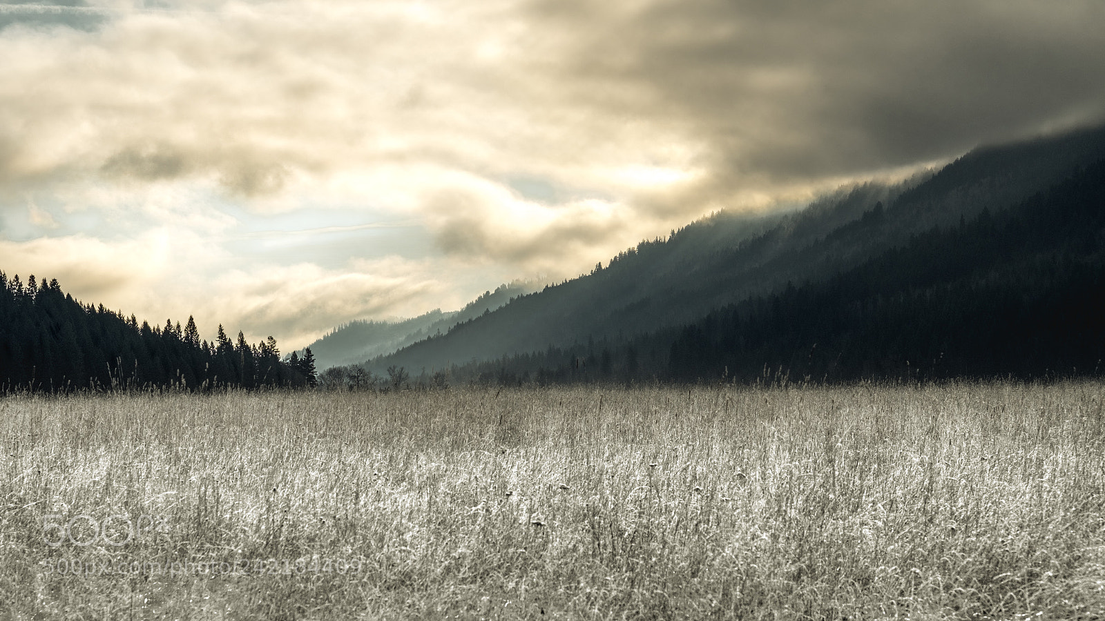 Fujifilm X-T2 sample photo. Thunderhead catalyst photography