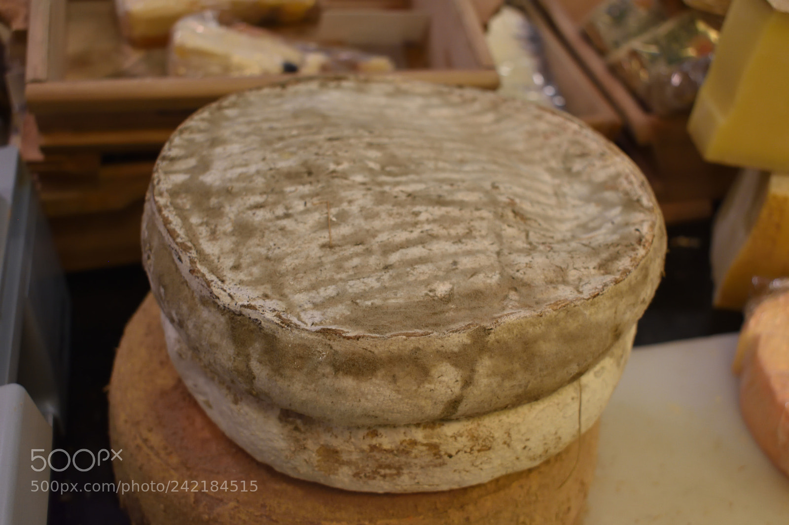 Nikon D7200 sample photo. Feeling hungry photography