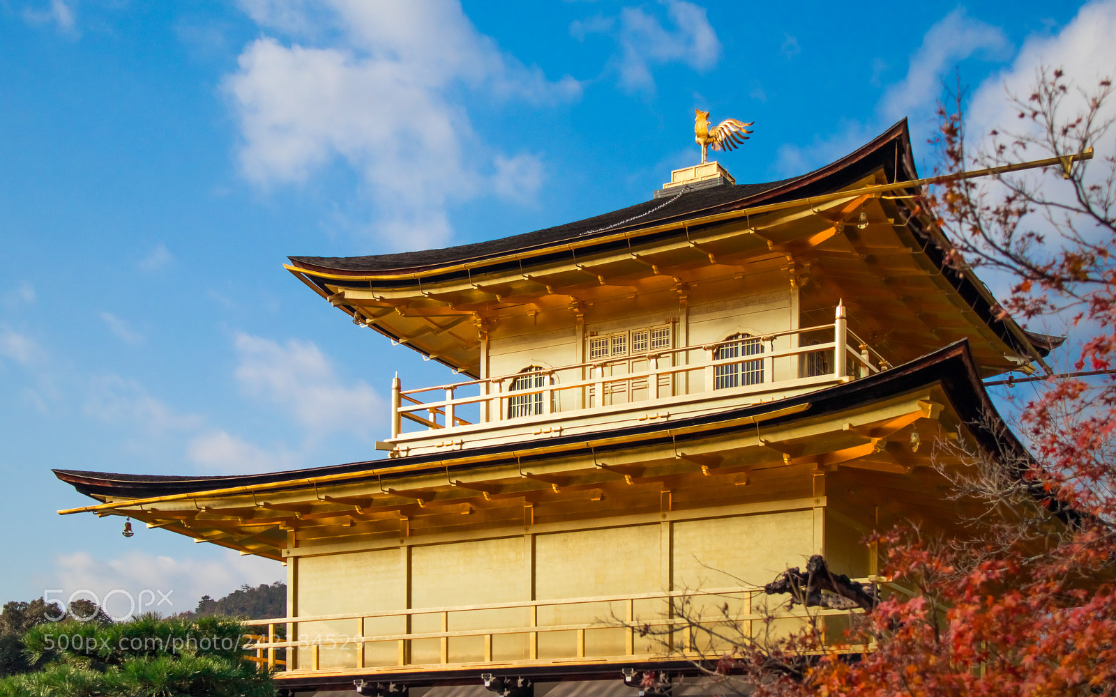 Canon EOS M5 sample photo. Kinkaku-ji photography