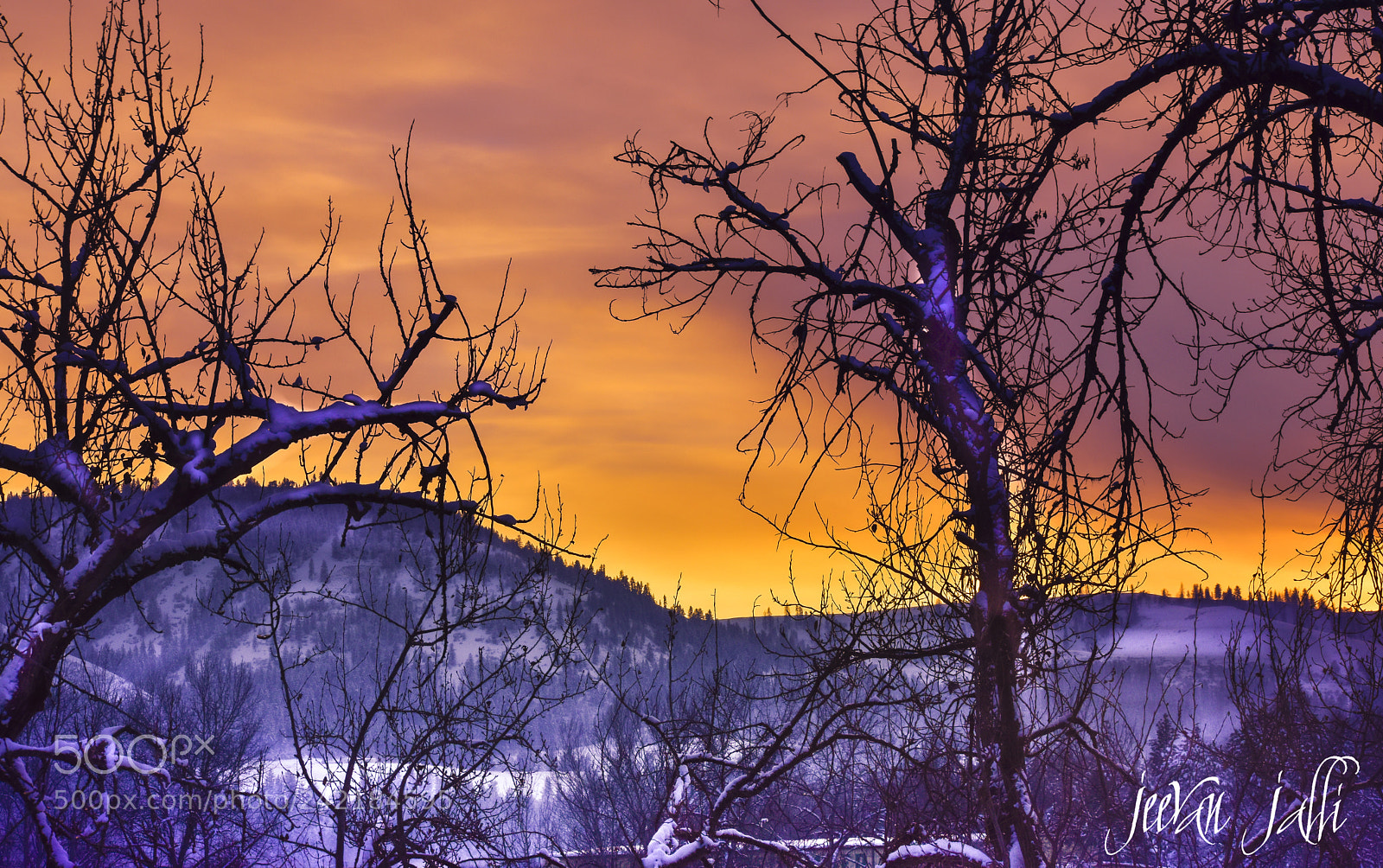 Nikon D3400 sample photo. A cold sunset photography