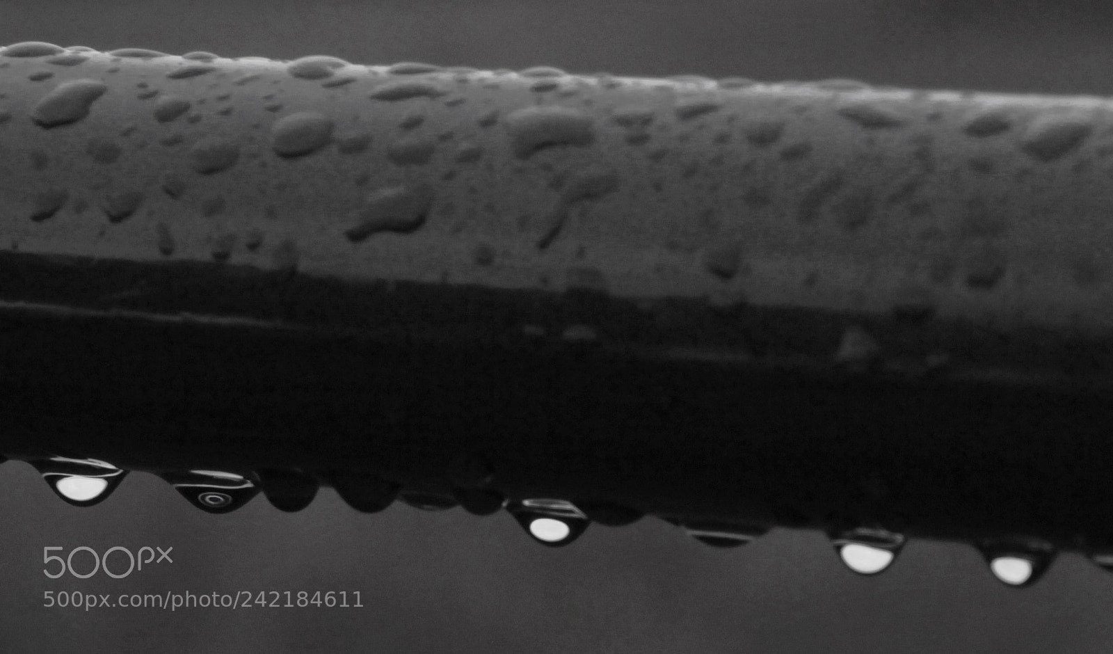 Canon EOS 60D sample photo. Wet gate photography