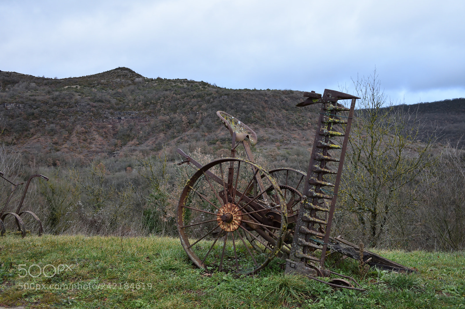 Nikon D7200 sample photo. History photography