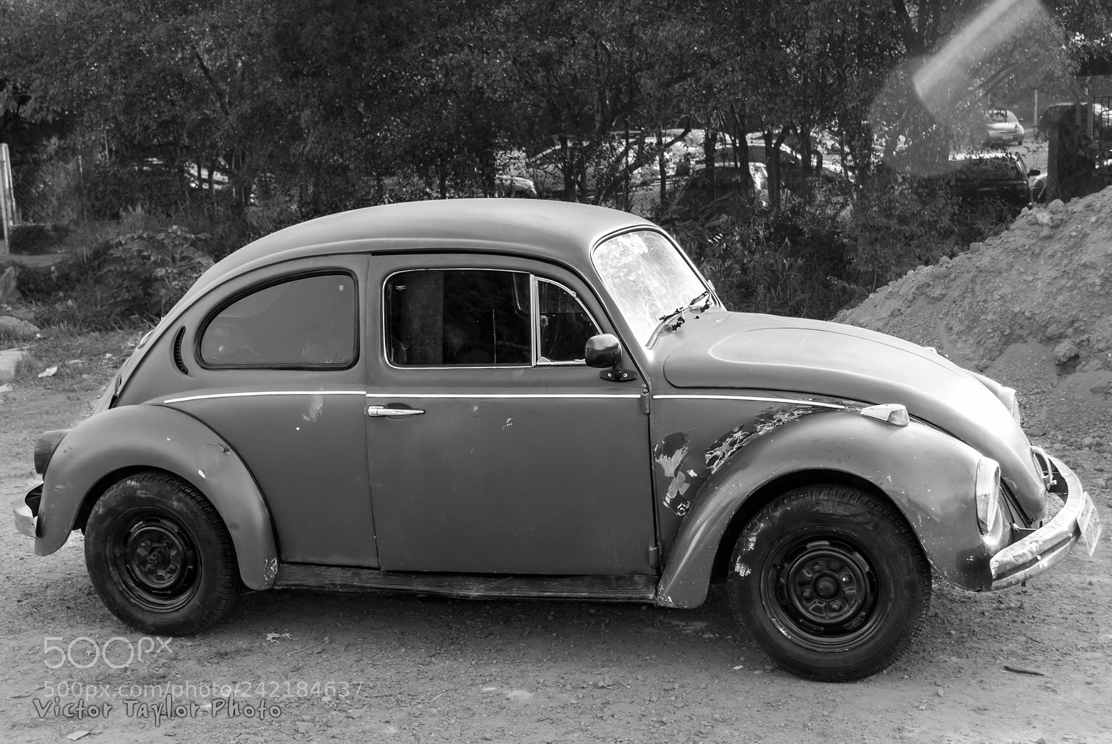 Nikon D200 sample photo. That old beetle photography