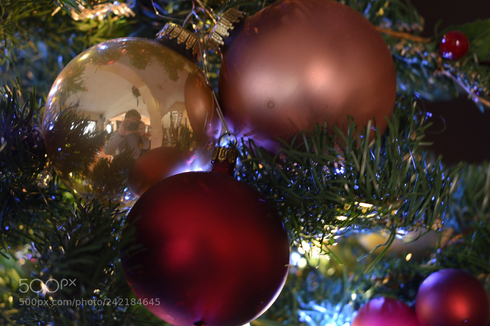 Nikon D7200 sample photo. Trapped in a christmas photography