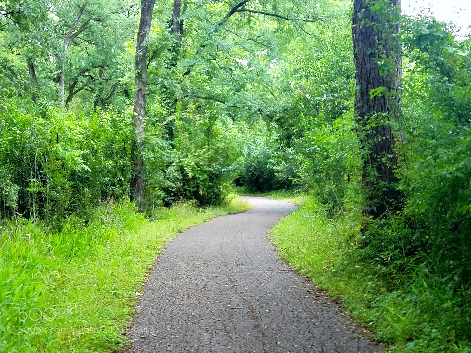 Samsung Galaxy S7 sample photo. Nature pathway photography