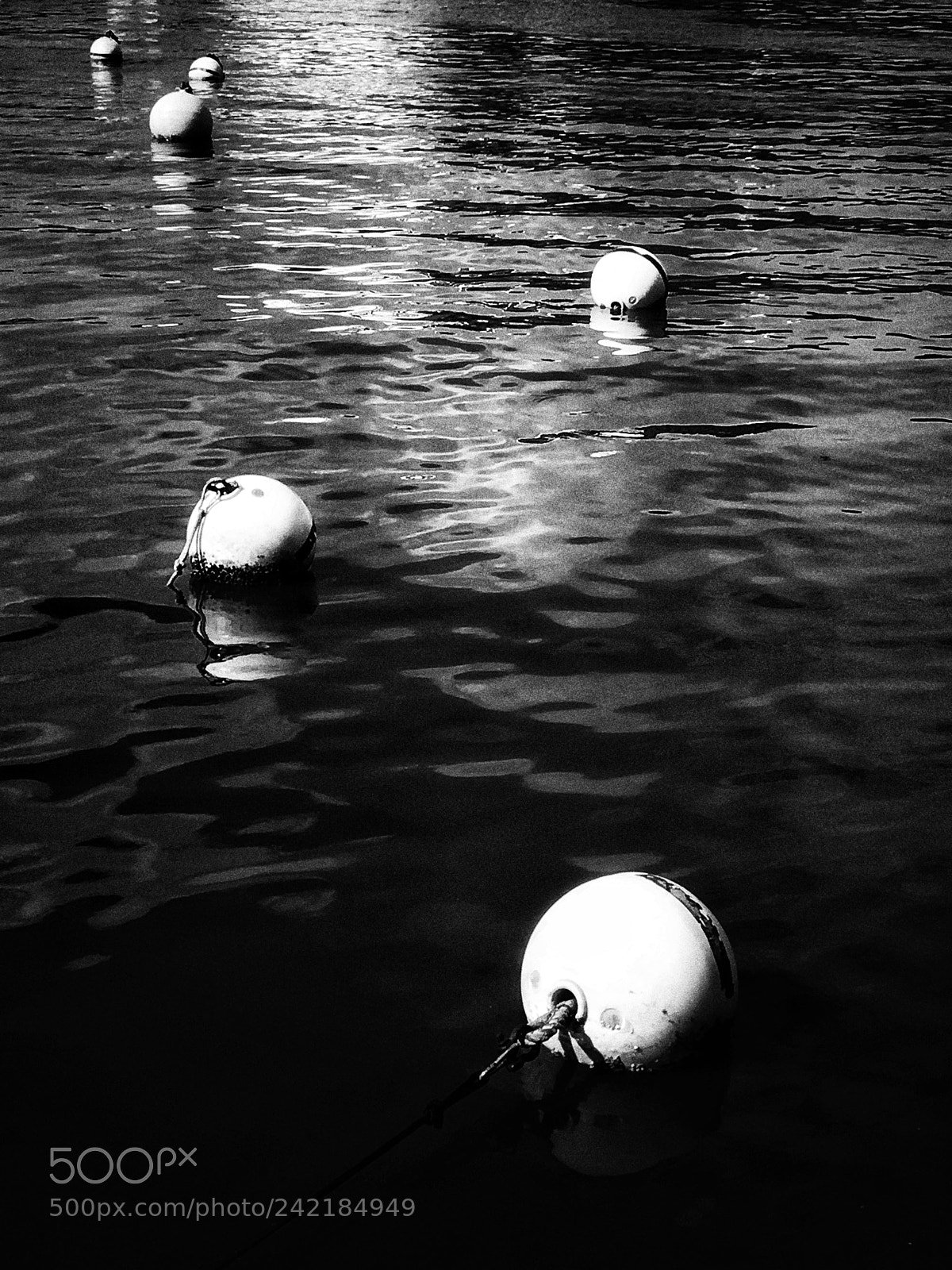 Apple iPhone 6s sample photo. Untitled photography