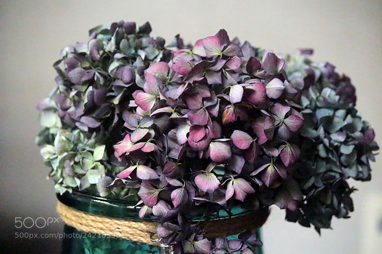 Canon EOS 700D (EOS Rebel T5i / EOS Kiss X7i) sample photo. Pretty flowers photography