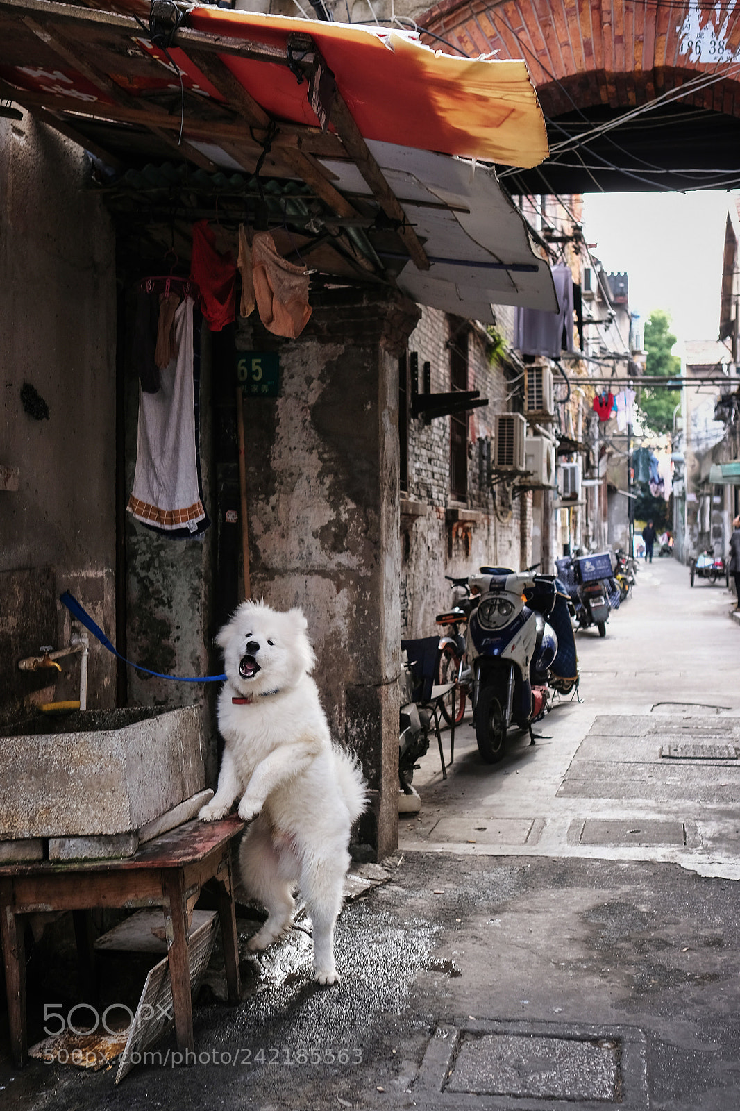 Fujifilm X-T2 sample photo. Untitled photography