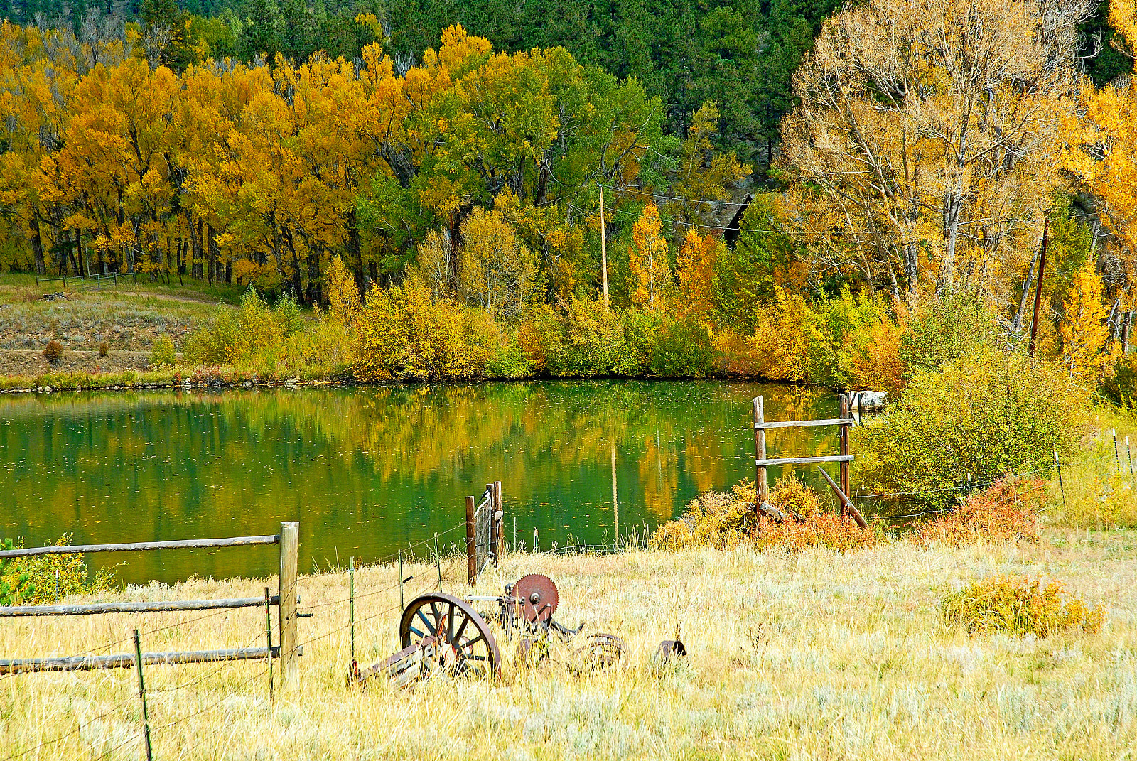 Nikon D200 sample photo. Ranch pond in autumn photography