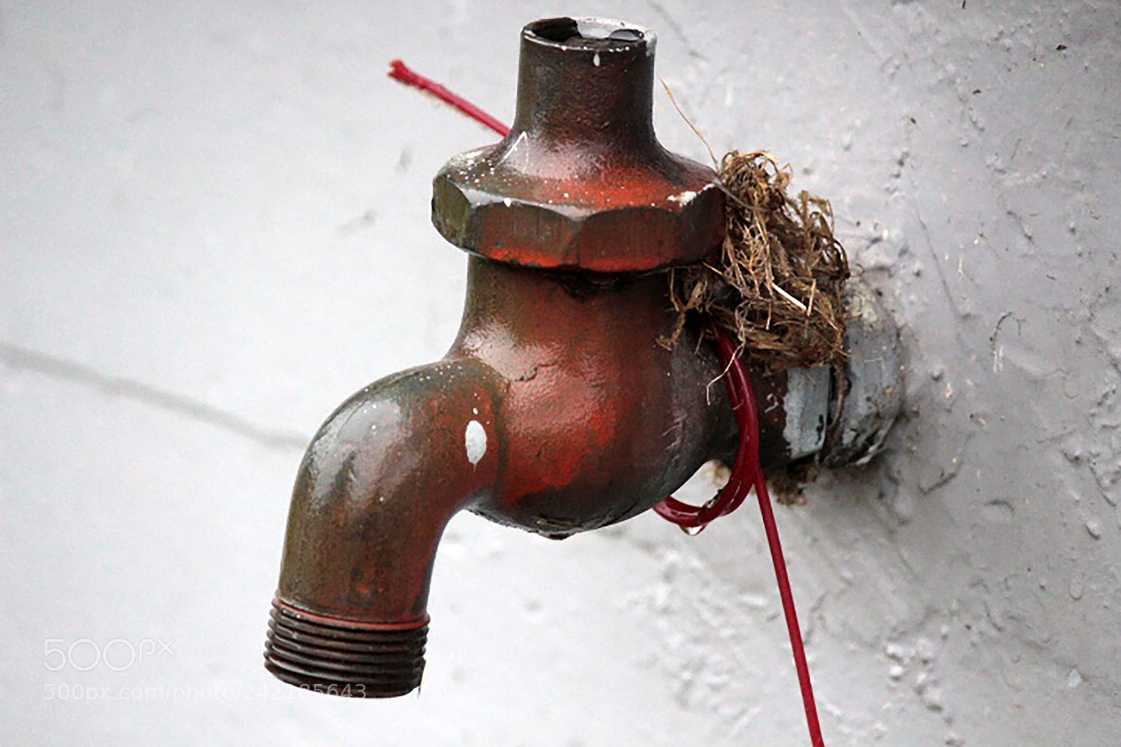 Canon EOS 700D (EOS Rebel T5i / EOS Kiss X7i) sample photo. A fire hose photography