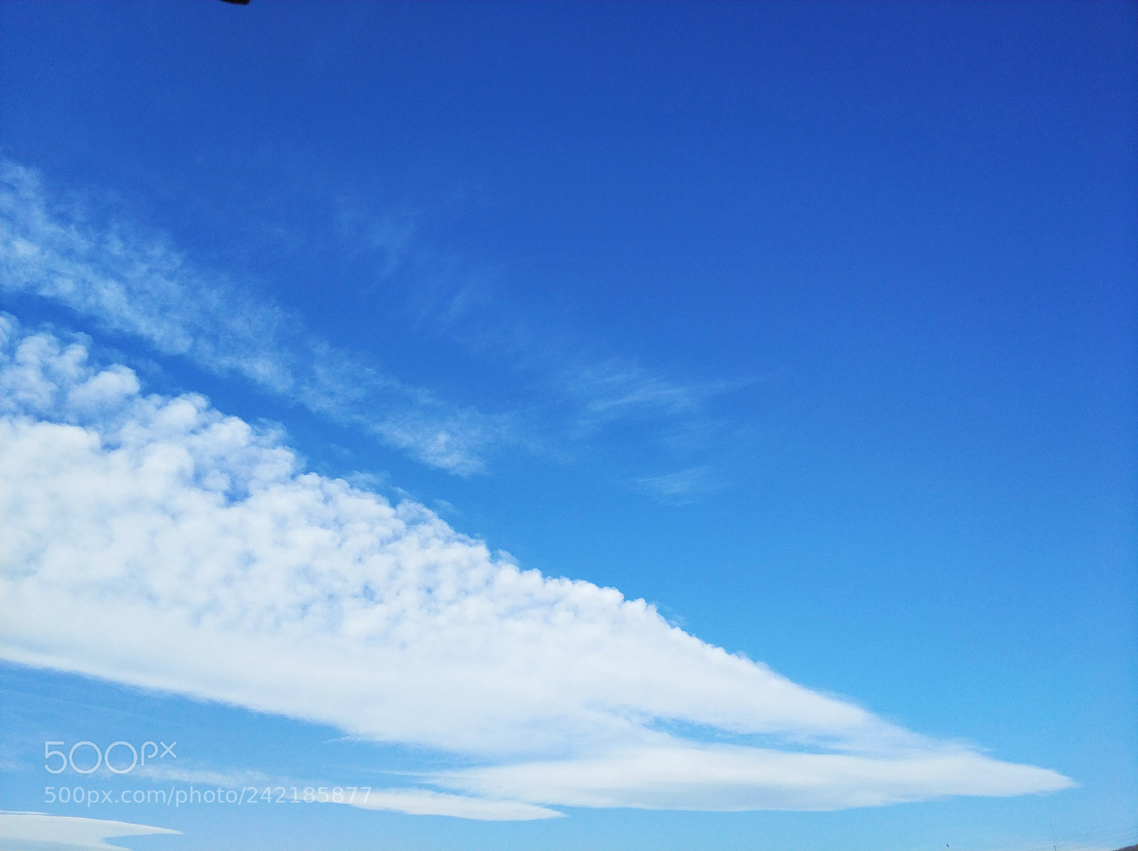 Xiaomi MI6 sample photo. Untitled photography